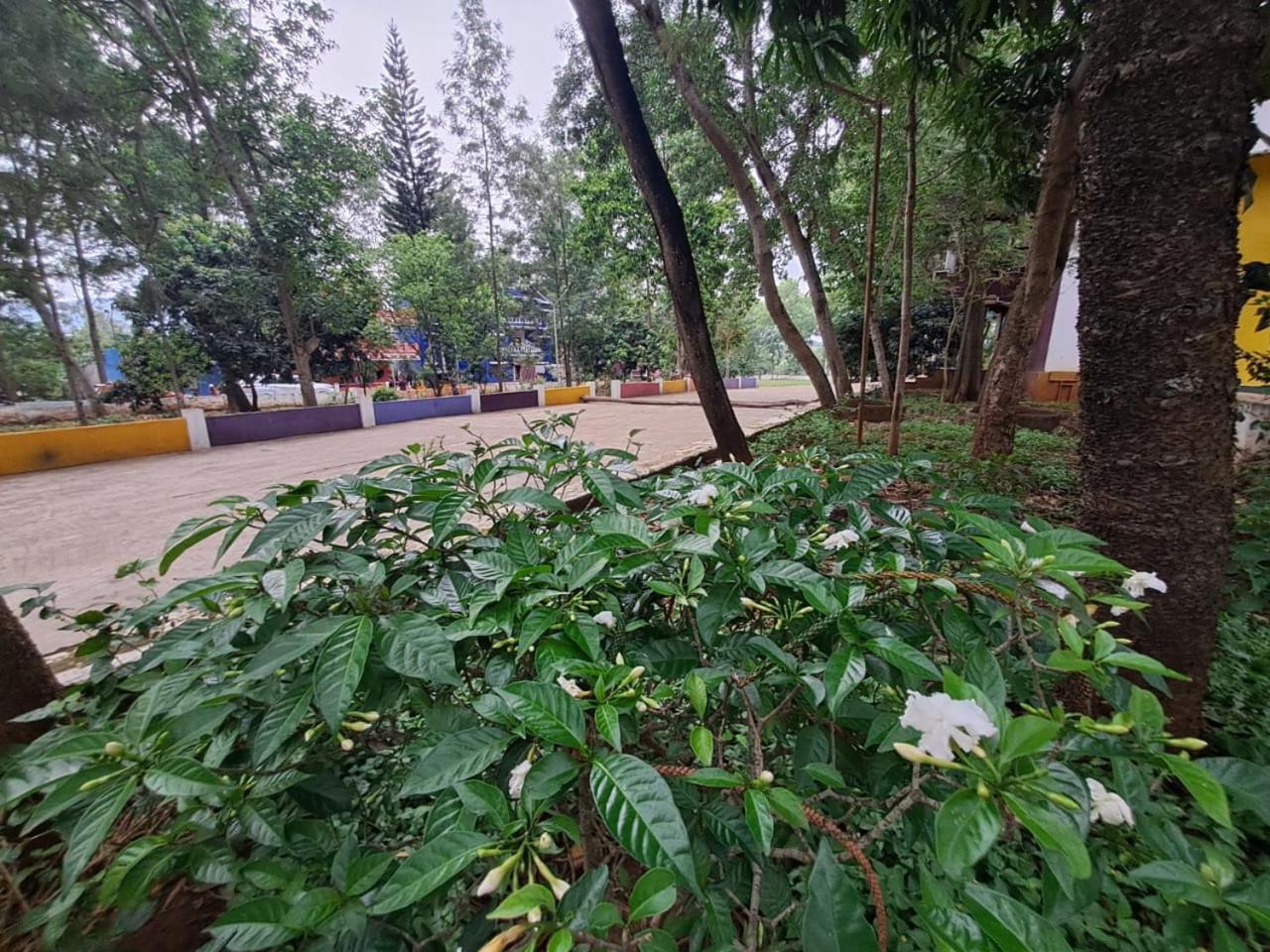 อุโศทยา รีสอร์ต Hotel อาราคู ภายนอก รูปภาพ